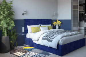 Видео статья 1